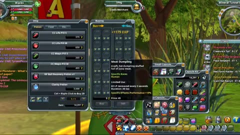 Dragon Ball online P1