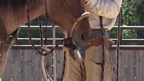 Here's how to adjust a hackamore.
