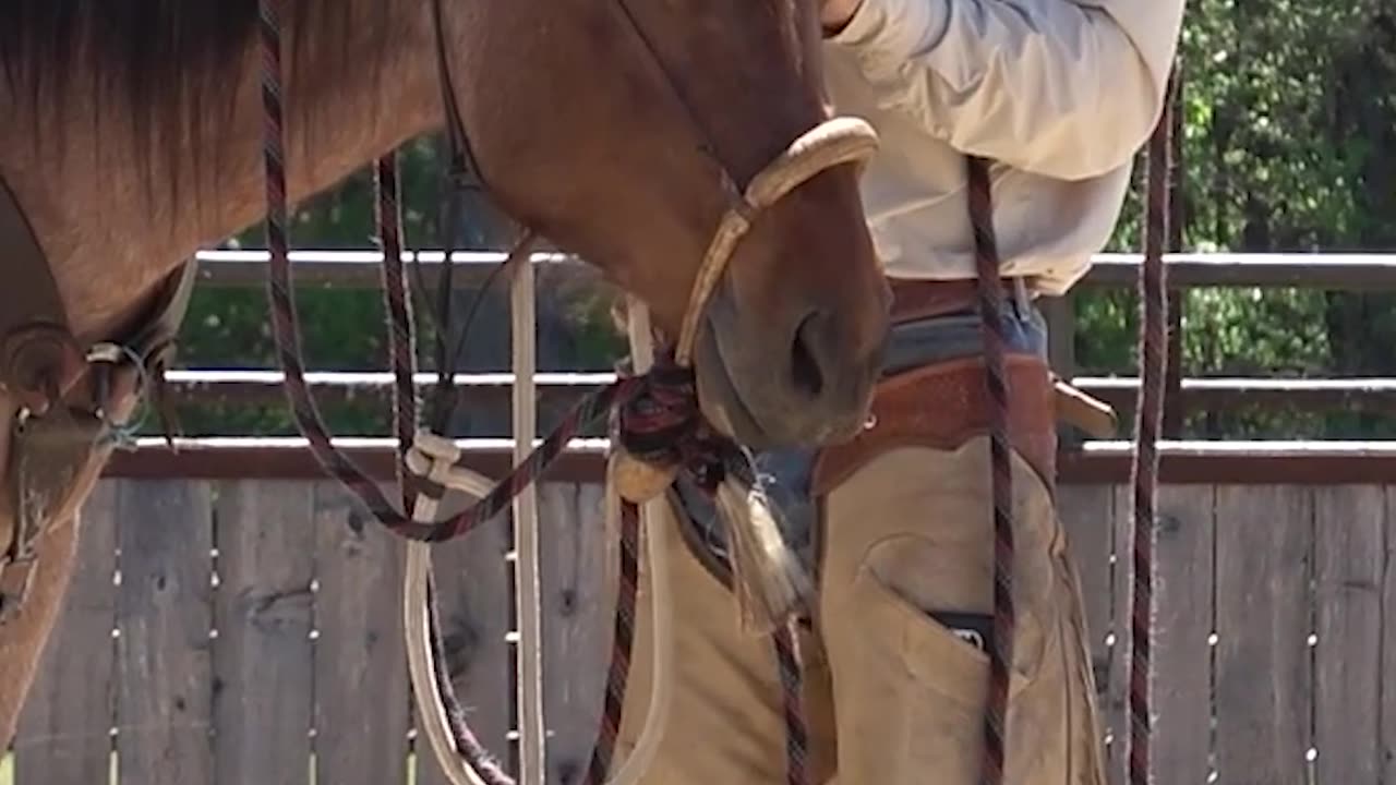 Here's how to adjust a hackamore.