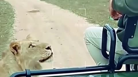 #wildlife