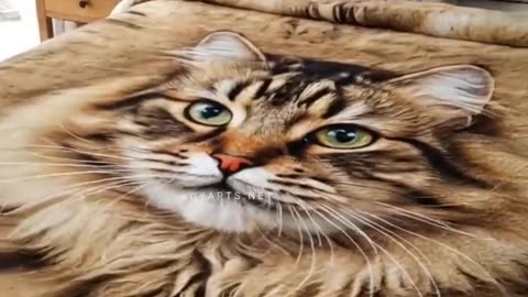 Cat Bedding Set 🐾 So fluffy, so perfect. 😊