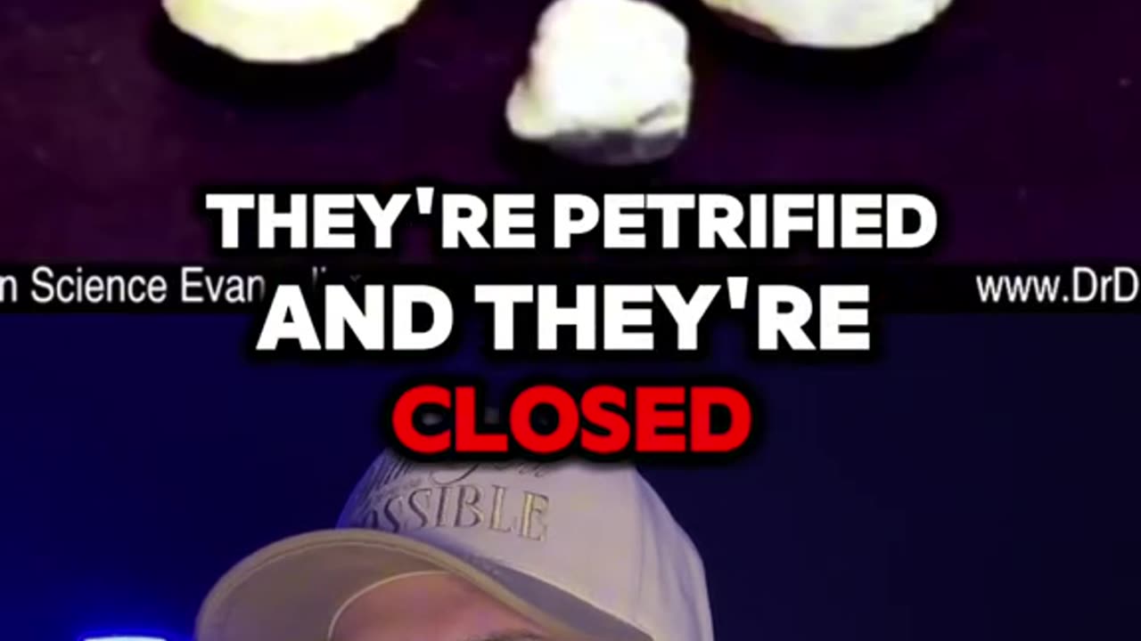 We had a great flood and an ice age