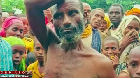 Qophii Addaa ONM-ABO Fulbaana 13-2025 itti dhiyaadhaa!