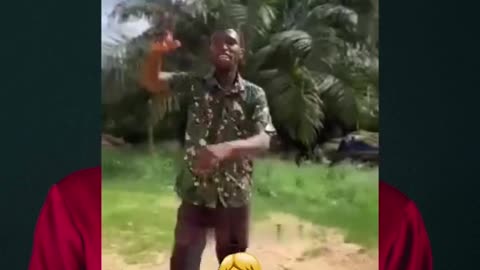 The best comedy