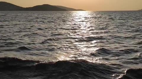 Daily Horoscope | Cancer 🌟