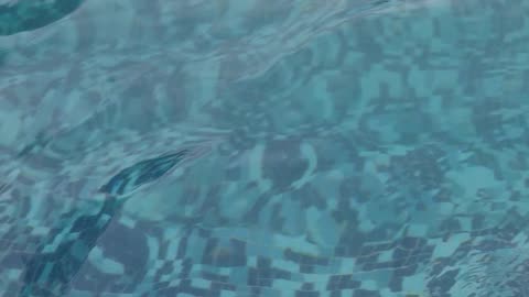 Not Everyone Can Put Their Toes In The Water