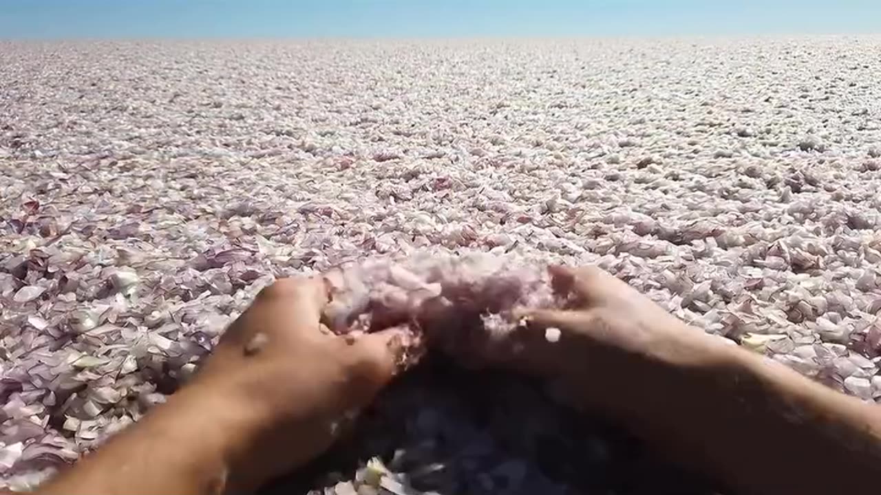 Asmr video 🍡🤩
