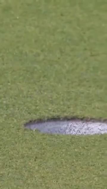 Let’s start the day with something nice! A fly helped a golfer win $728,000