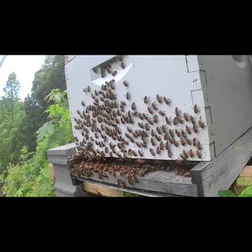 Sunday Afternoon - After the Storm