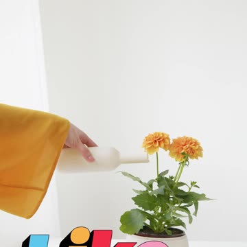 19 LAS AFIRMACIONES SON SEMILLAS QUE…