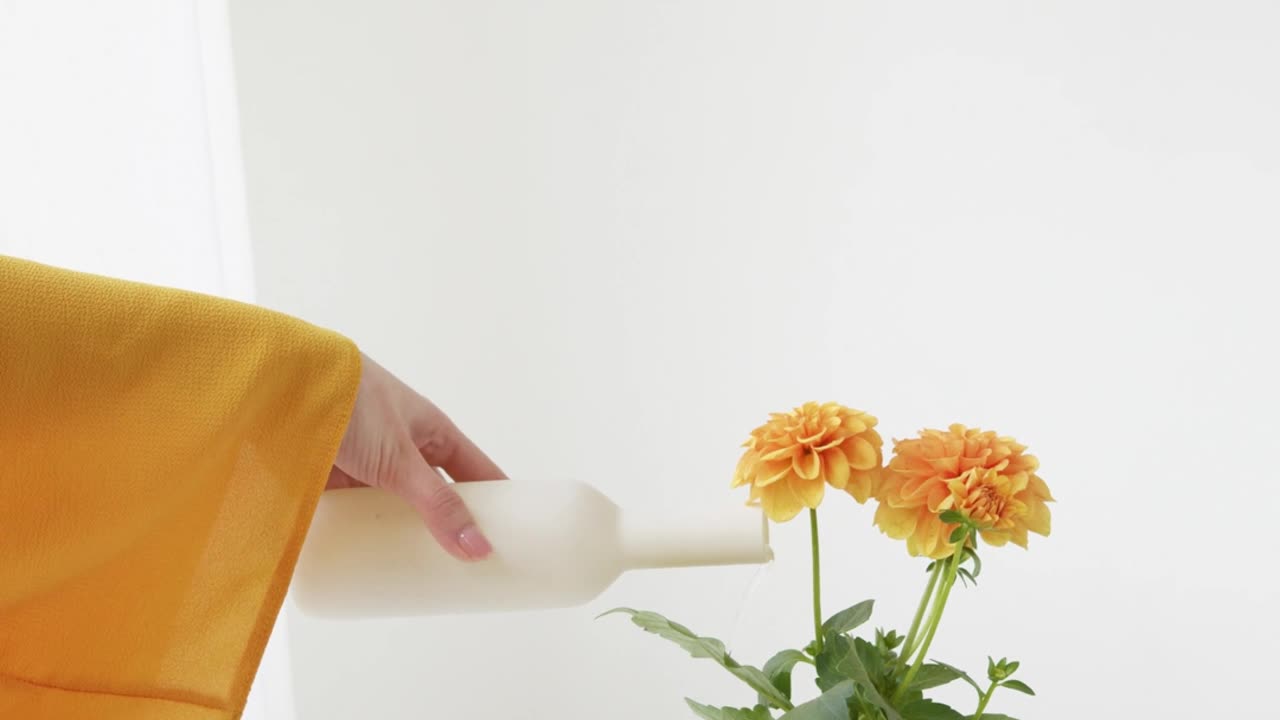 19 LAS AFIRMACIONES SON SEMILLAS QUE…