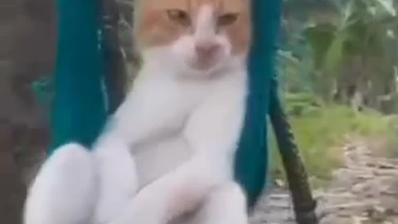 Relaxation