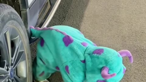 Cutie Pie Baby Dinosaur
