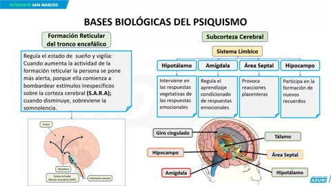REPASO INTENSIVO ADUNI 2023 | Semana 02 | Geografía | Geometría | Psicología