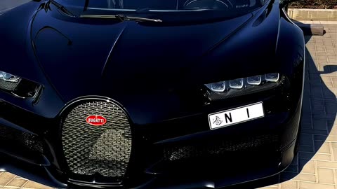 Litvin_ bought the most expensive car in the world!