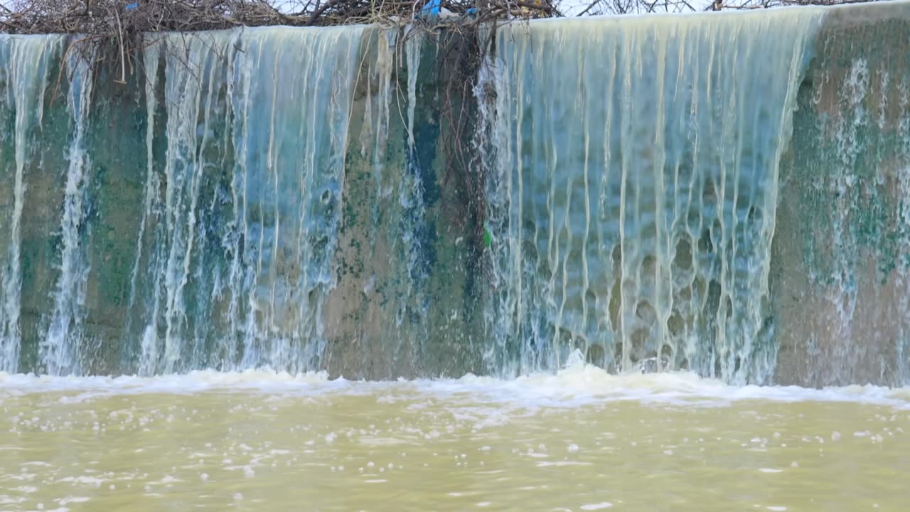 car tracke Toy video