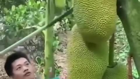 😀😀😀😀😱