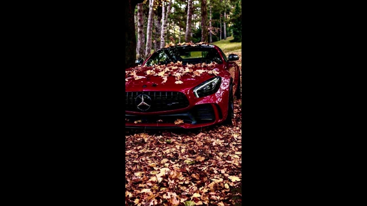 Whispers of the Night | Calm Winds | Endless Dreams