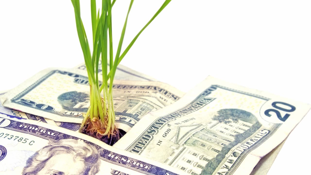 10 Minute Guide Start Investing the Smart way