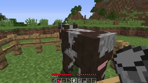 Is the flying boat real or fake?