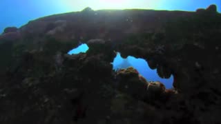 Kate Bush - A Coral Room