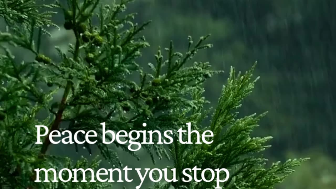 The Secret to Inner Peace No One Talks About 💫