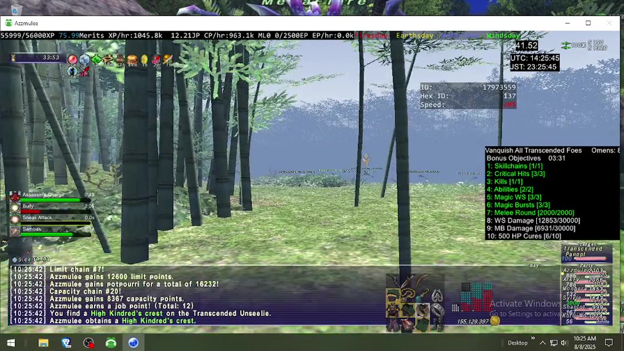 Playing Final Fantasy XI Online
