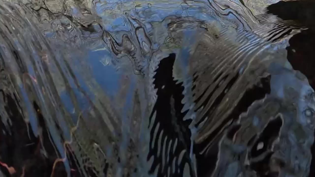 Going into a WATERFALL at a cozy creek #shorts #water #nature