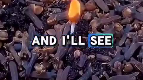 A trick that promises to be effective against pest.