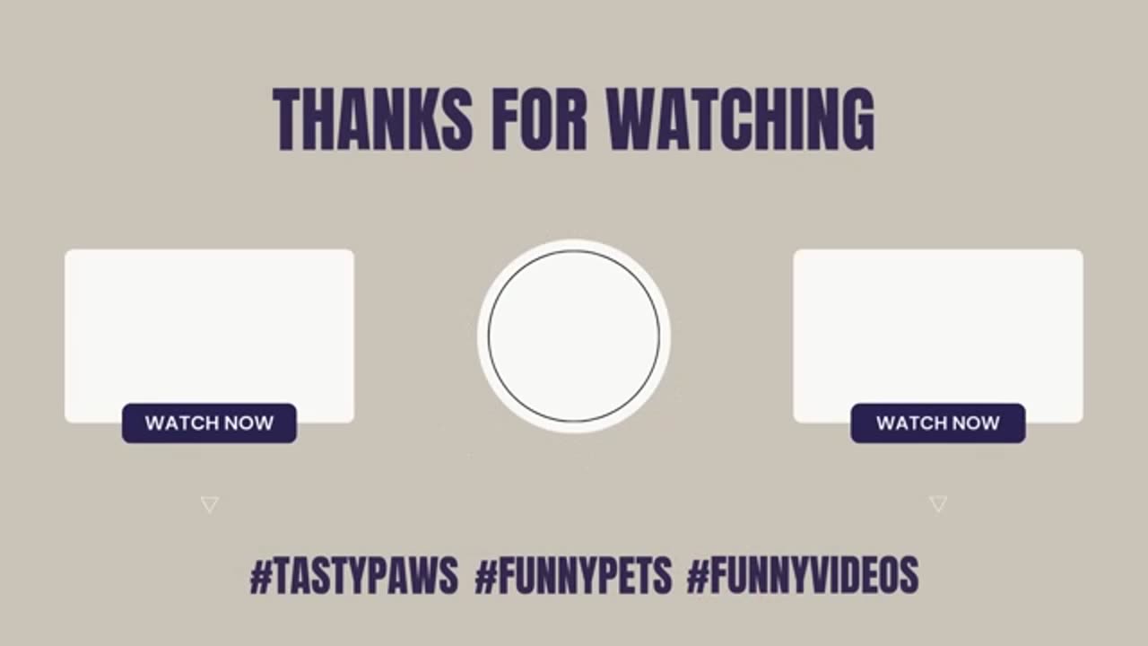 Funny video