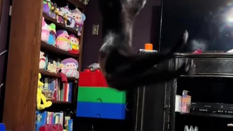 Playing catch 😊