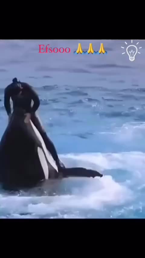 ✨ The Breathtaking Harmony of Humans & Nature ✨