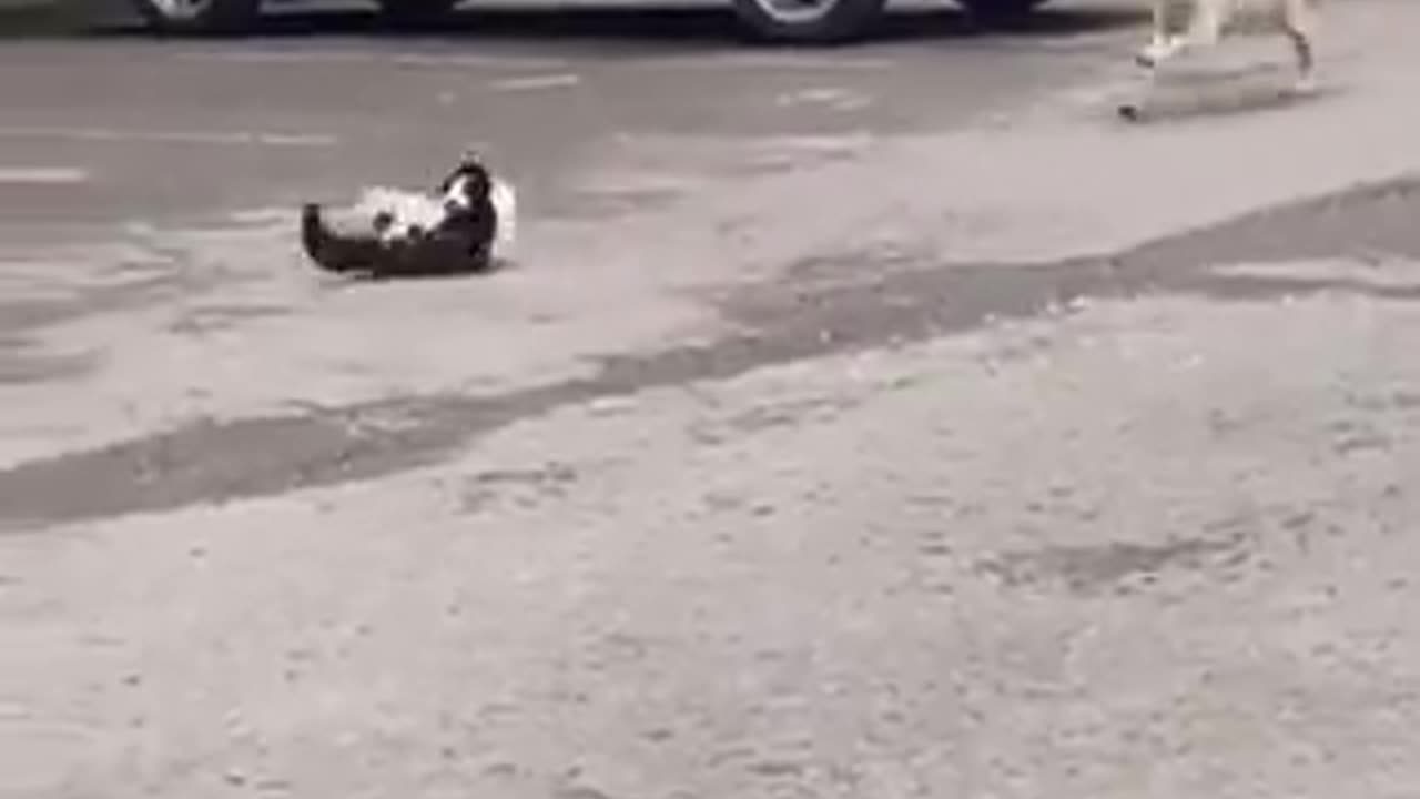 WTF just happened | funny video | crazy clips