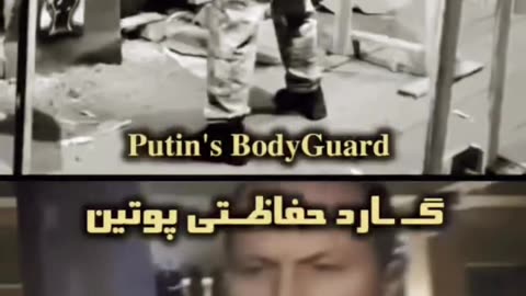 Professional gun handle