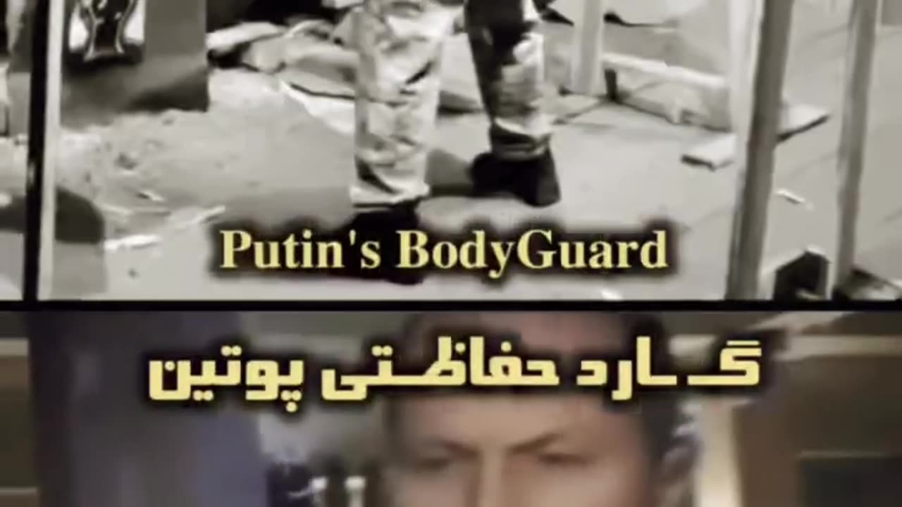 Professional gun handle