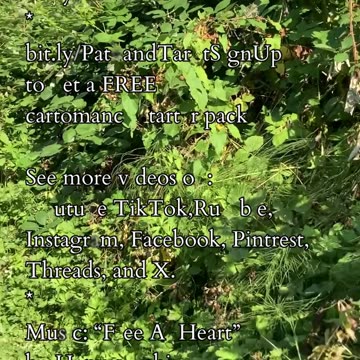 Path of Revelation | Path and Tarot Reading