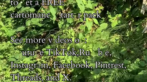 Path of Revelation | Path and Tarot Reading