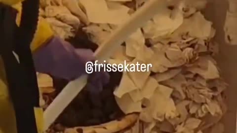 Overloaded