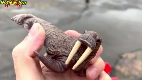 Walrus with Two Long Tusks Lying on a Block of Ice