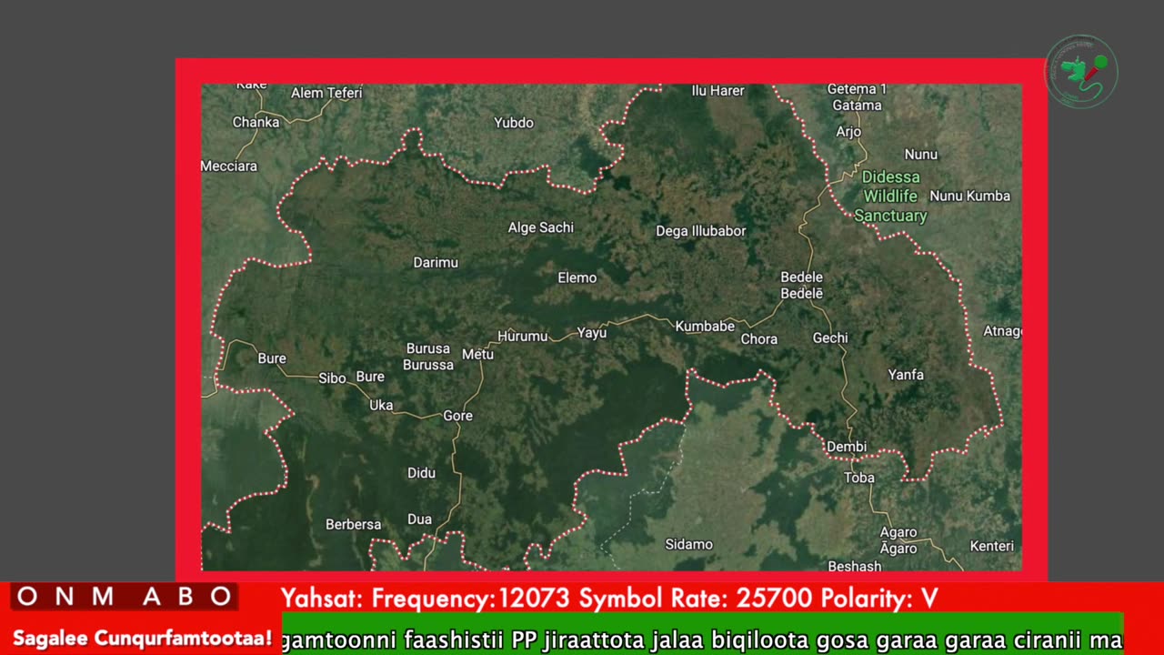 Oduu Ganama ONM-ABO Adoolessa 26-2025 itti dhiyaadhaa!