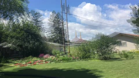 A Cool Pond