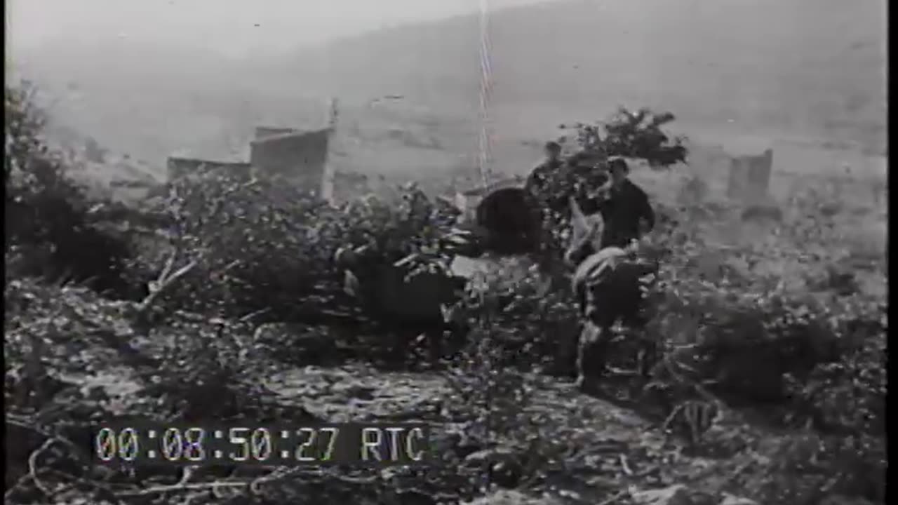 GERMANS IN ITA Y PR... - GERMANS IN ITA Y PREPARE FOR ALLIED DRIVE; ACTION IN CASSINO - 428-npc-4186