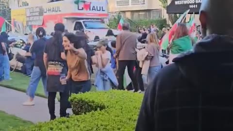 Pro government Iranian truck driver defends himself, truck