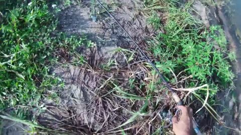 altra pescata in fiume innescando il vivo or river fishing with live bait, soddisfatto_part10