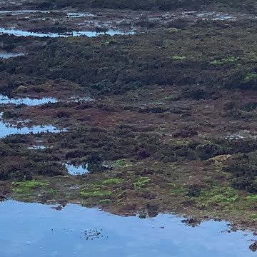 El Ouatia - Tan-Tan beach