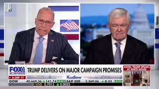 Majority of Americans are SICK of left-wing ideas, Newt Gingrich says.