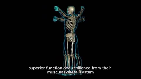 Train Without Limits: Unlock Peak Performance with Flexomore Joint & Bone Support