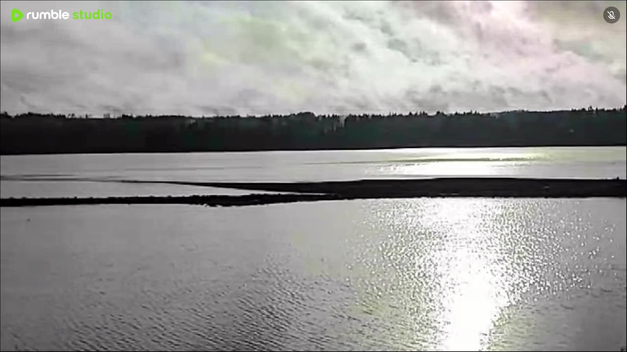 Peaceful morning on the water