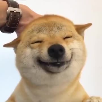 A smile for your timeline.. 😊