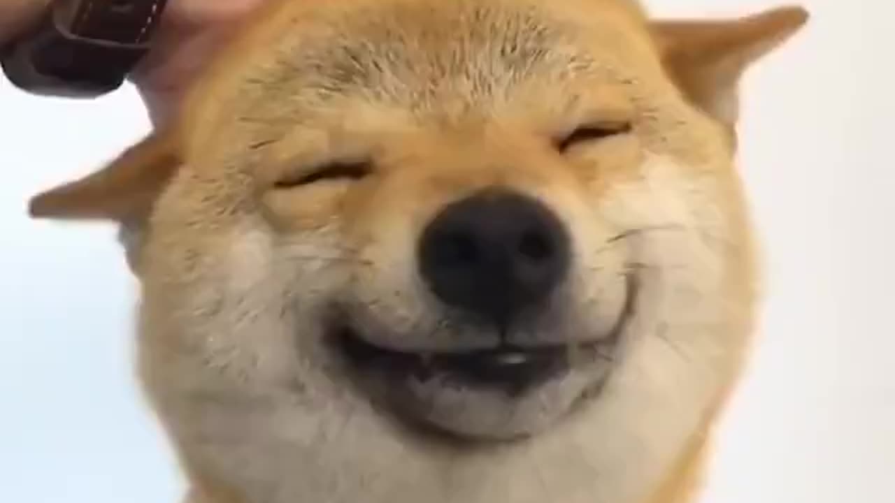 A smile for your timeline.. 😊
